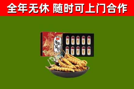 达州回收冬虫夏草价格